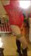 Private Photo of Dreams360