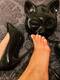 Private Photo of Mademoiselle_Satine