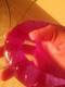 Private Photo of Desi_vlc