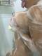 Private Photo of Perla_Margot