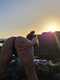Al tramonto.
