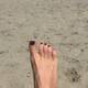 mare