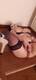 Mi diverto col dildo..