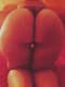 doggy