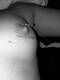 Needle