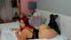 Private Photo of red_rabbit