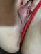 Private Photo of morena_rm43