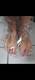 Piedi nella busta