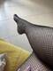 Leg